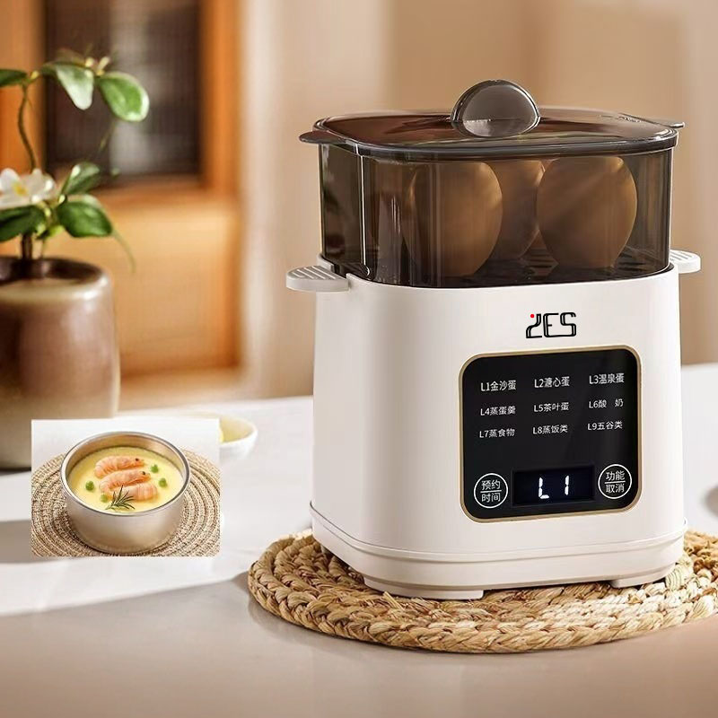 9 in 1 Egg Cooker